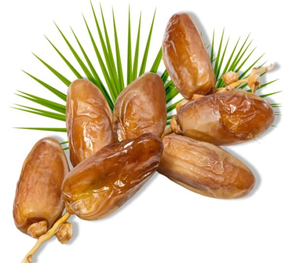 Dattes branchées